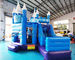 SGS Inflatable Frozen Jumping Bouncy Castle For Gardens