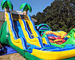 Commercial 0.55mm PVC Outdoor Inflatable Water Slides