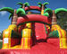 Multicolor Amusement Pool Full Printing Inflatable Water Slide
